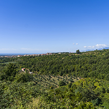 castel belvedere