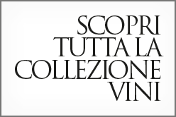 scopri tutta la collezione vini